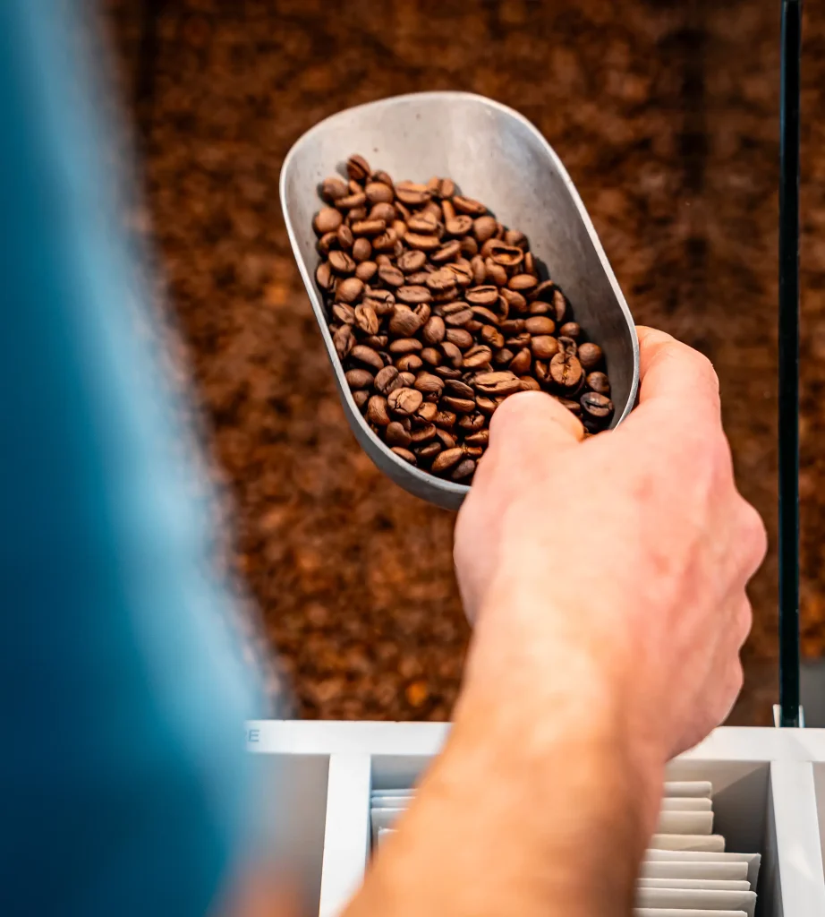 café bozec gros plan sur main café vrac