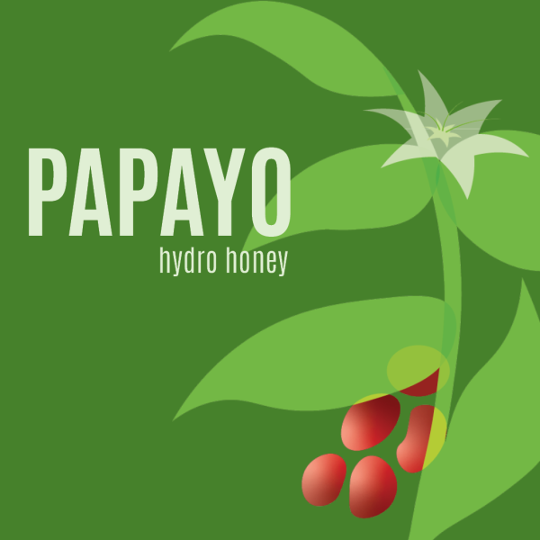 Café éphémère Papayo hydro honey